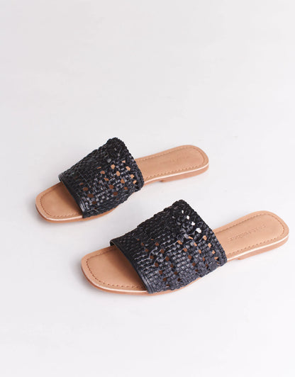 PALM - BLACK